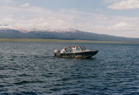 2002-060502-71
