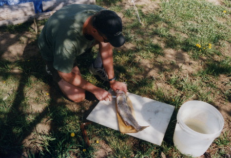2002-060502-73