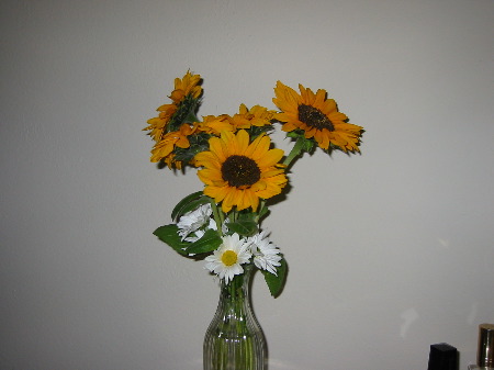 30 Sep 2002 4:47 