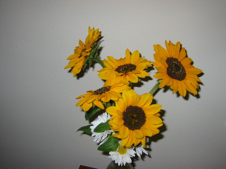 30 Sep 2002 4:47 