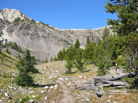 Roll 4 - 42