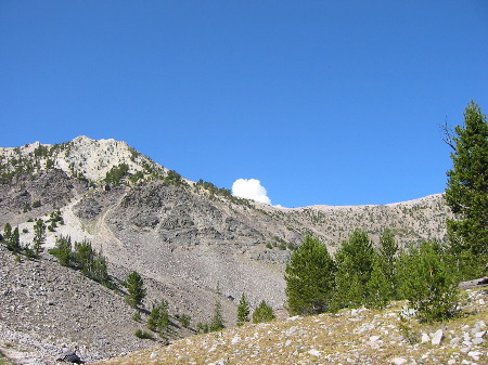 Roll 4 - 43
