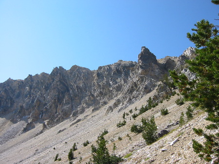 Roll 4 - 51