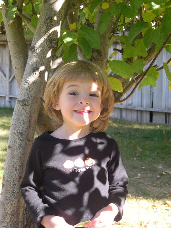 17 Oct 2003