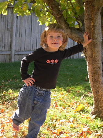 17 Oct 2003