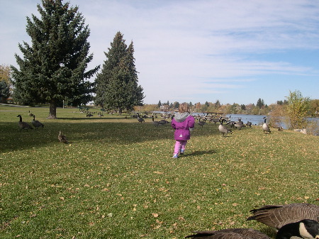 24 Oct 2003