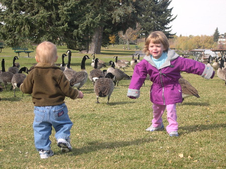 24 Oct 2003