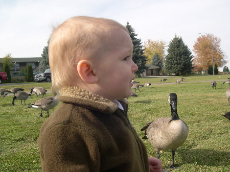 24 Oct 2003