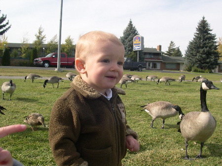 24 Oct 2003