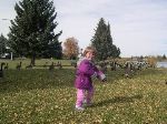 24 Oct 2003