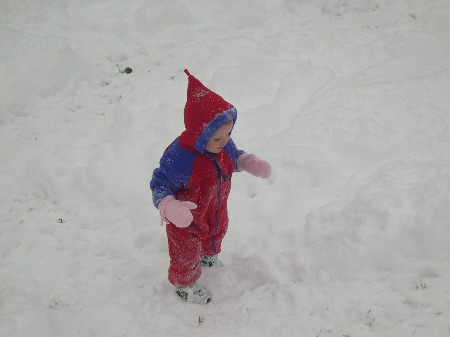 28 Dec 2003