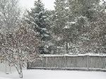 12/26/03