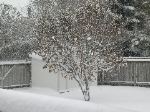 12/26/03