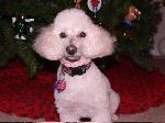 Fri, Dec 9, 2005