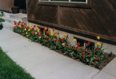 2002-060502-51