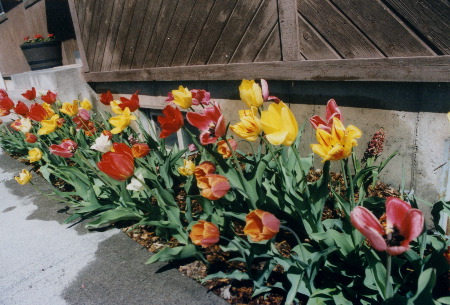2002-060502-55