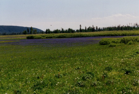 2002-062502-69