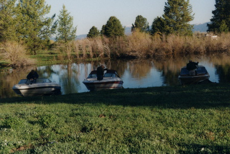 2002-060502-64